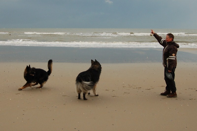 Xerus en Zaza op Vlieland (18).jpg